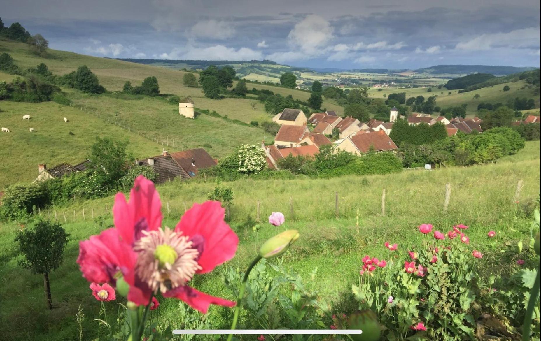 La Petite Maison Dans La Campagne Massingy-lès-Vitteaux Eksteriør billede